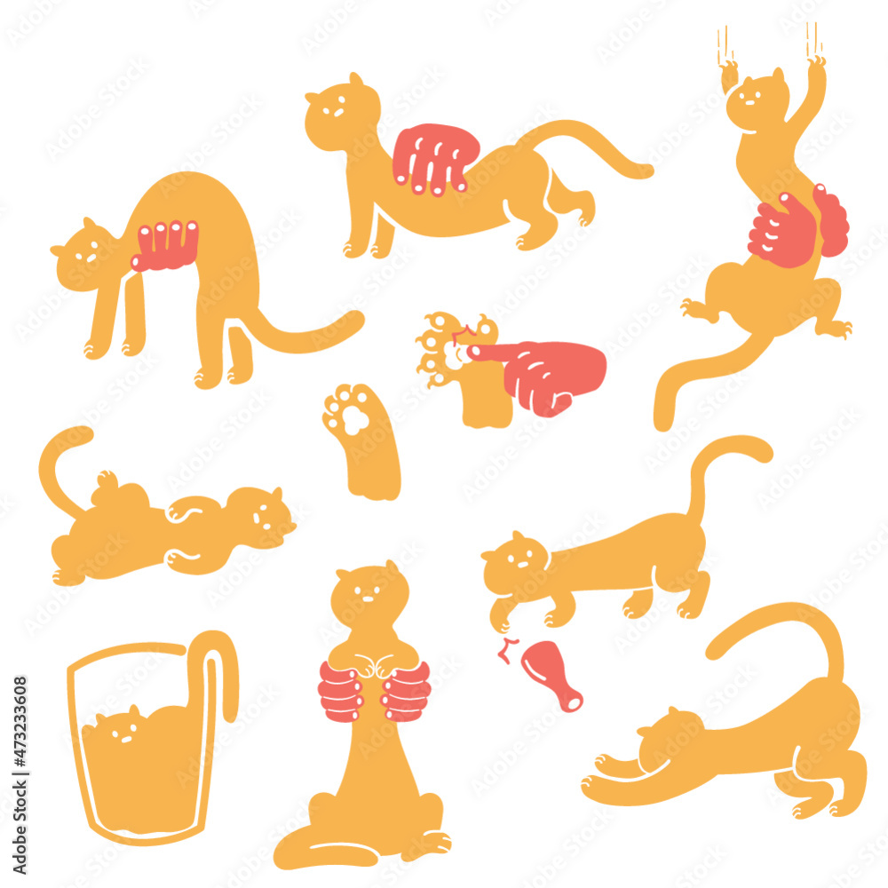 set of funny cheese cat