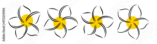 Frangipani or plumeria exotic summer flower. Engraved frangipani isolated in white background. Outline vector illustration