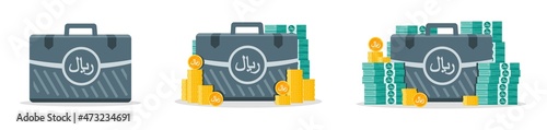 Saudi Riyal Money Case Icons