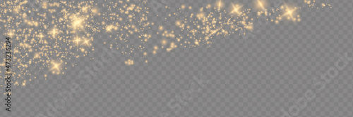 Sparkling magical dust particles . The dust sparks and golden stars shine with special light.