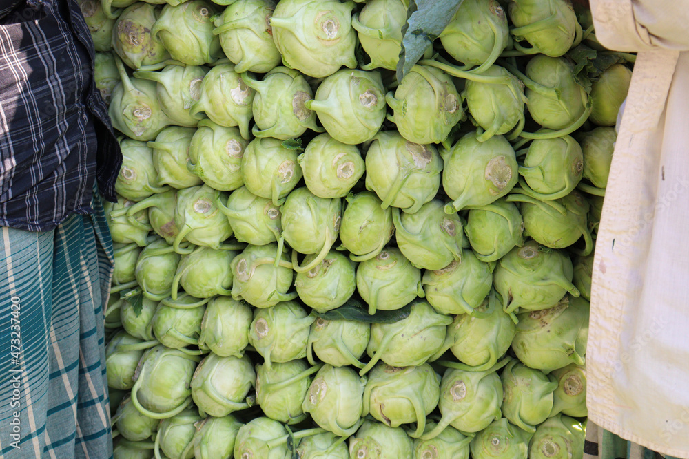 green colored turnip farm on field green colored turnip farm on field