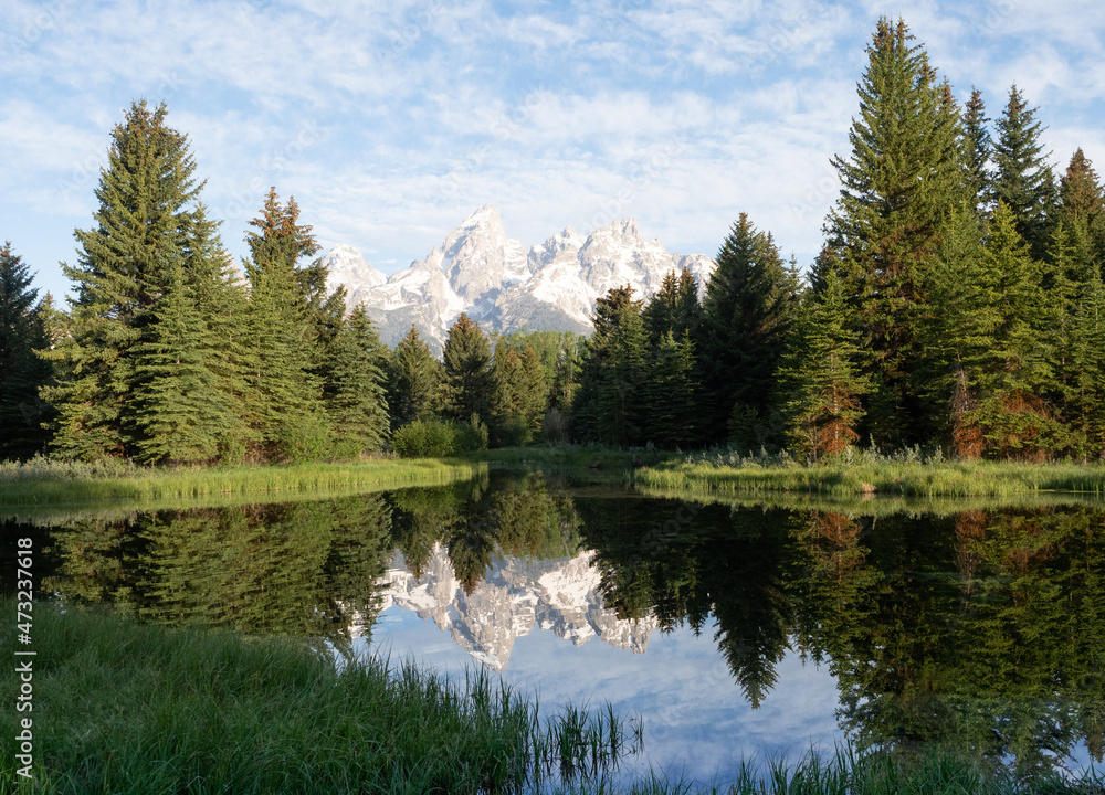Schwabacher Landing with the Reflection of the Teton Mountains in the Pond