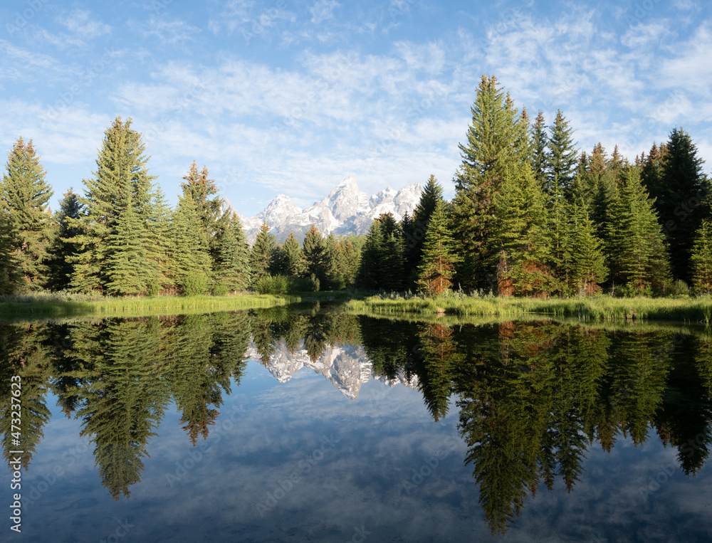 Mirror Image of Pine Trees and Teton Mountains in Beaver Pond at Schwabacher's Landing in Grand Teton National Park, Wyoming