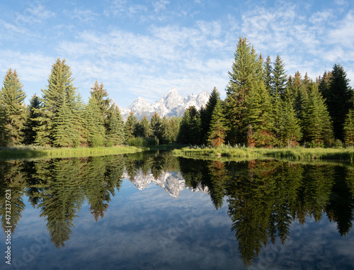 Mirror Image of Pine Trees and Teton Mountains in Beaver Pond at Schwabacher's Landing in Grand Teton National Park, Wyoming © tloventures