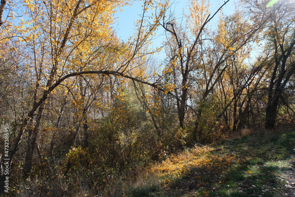 Kamloops Parks