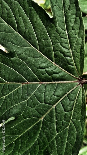 Papercut contour background with pink and orange colors, best for you walpaper and backdrop