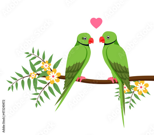 Two parrots on a branch with flowers and with hart shape symbol isolated