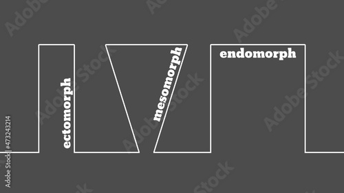 Body types icons set. Ectomorph, mesomorph and endomorph.