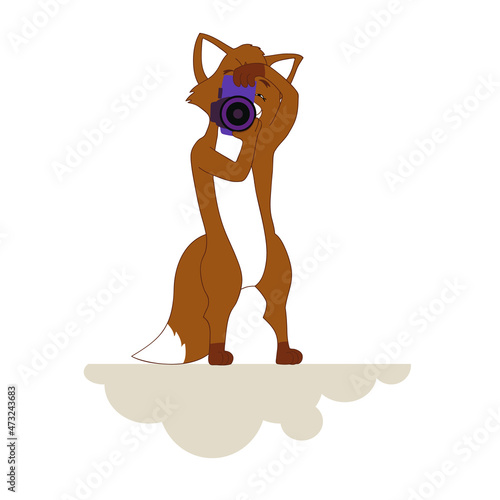 Fox is a photographer.
Vector illustration.