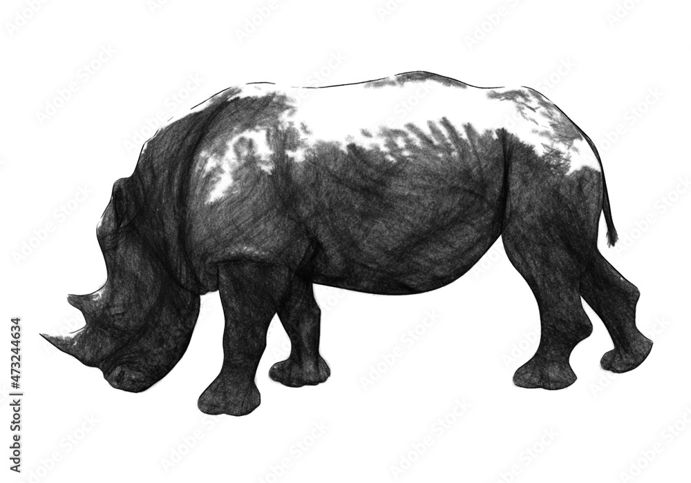 Fototapeta premium Rhinoceros side view. Charcoal drawing. Raster illustration.