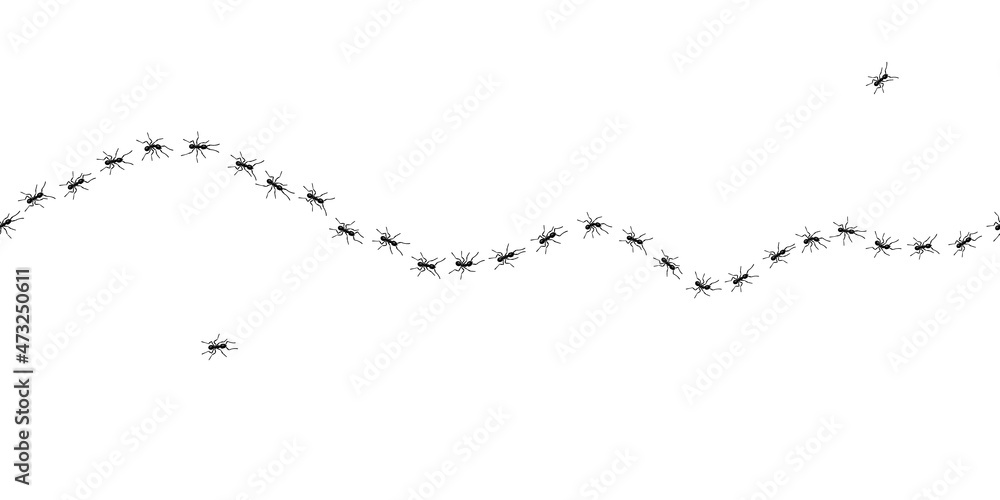 Worker ants trail line flat style design vector illustration isolated on white background. Top view of ants bug road trail marching in the line row. Pest control or insect searching concept.