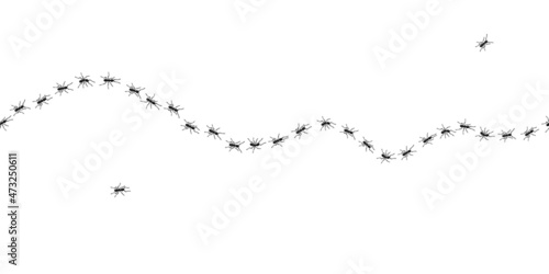 Worker ants trail line flat style design vector illustration isolated on white background. Top view of ants bug road trail marching in the line row. Pest control or insect searching concept.