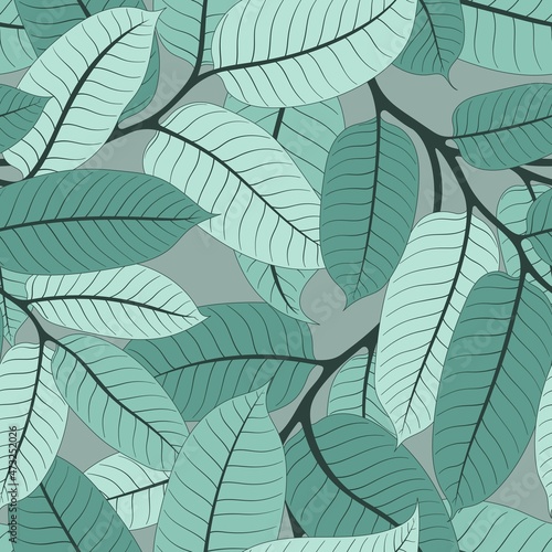 SEAMLESS PATTERN WITH MINT VIROLA BRANCHES ON A GRAY BACKGROUND IN VECTOR