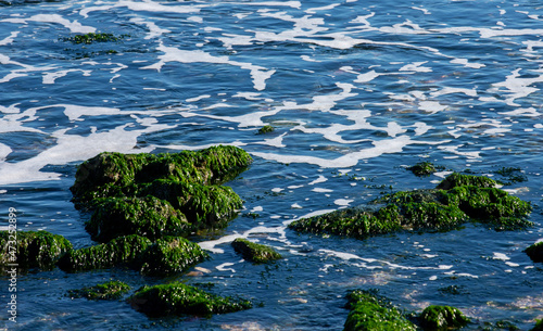 rocks covered with seaweed by the seaside © sebi_2569