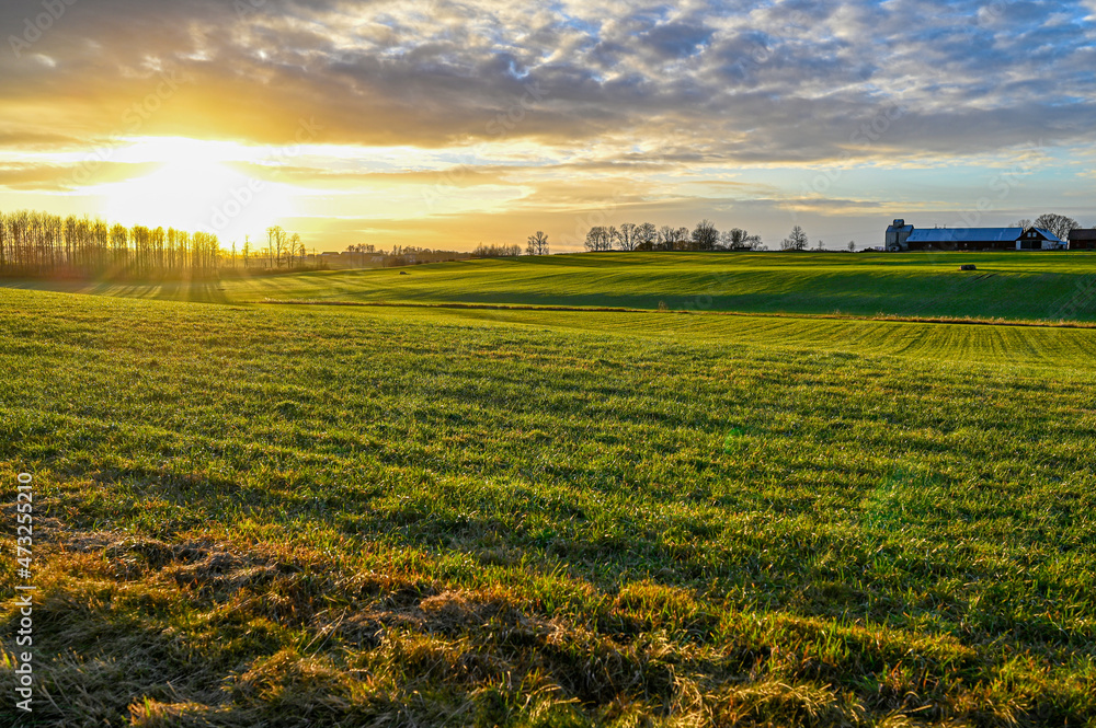 scenic wiew over green agriculture field and sunset