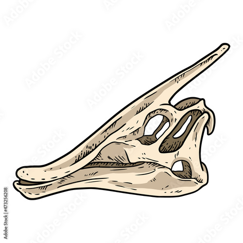 Parasaurolophus line hand drawn sketch image. Duck billed Hadrosaurids dinosaur illustration drawing