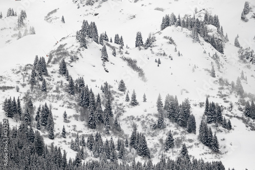 Sapins dans un paysage de montagne en hiver