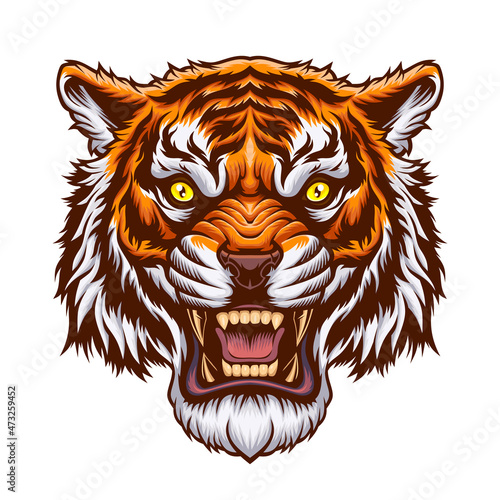 Angry Tiger Head.	