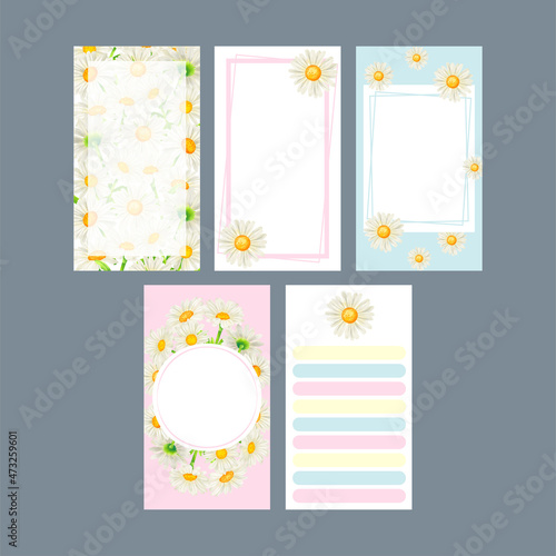 White daisy flower theme for Instagram stories post template collection