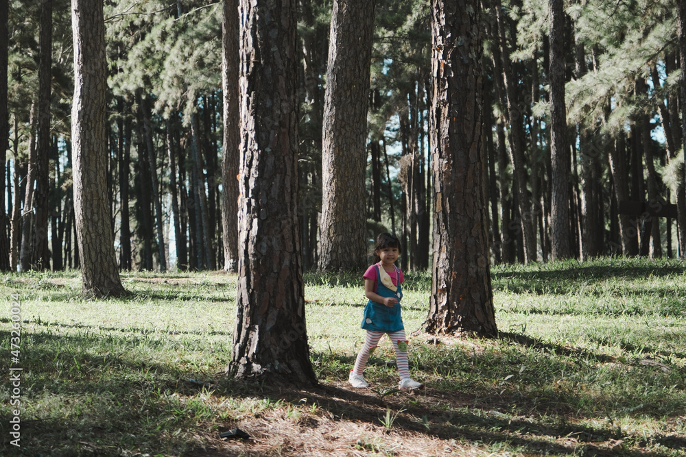 Active little girls running in the pine forest on a warm summer day. Happy girl smiles and laughs while spending time with her family in the park on vacation. Active little girls running in the pine forest on a warm summer day. Happy girl smiles and laughs while spending time with her family in the park on vacation.