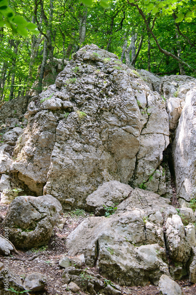 A rocky mountainside with many rocks and a green forest
