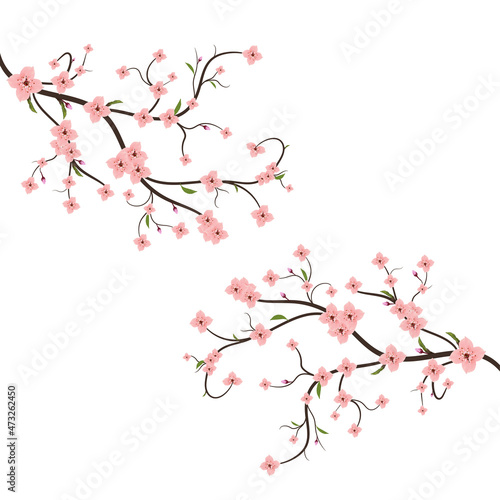 Sakura blossom branch, Falling petals, flowers. Isolated flying realistic japanese pink cherry or apricot floral elements fall down vector background. Cherry blossom branch, flower petal © Pavel