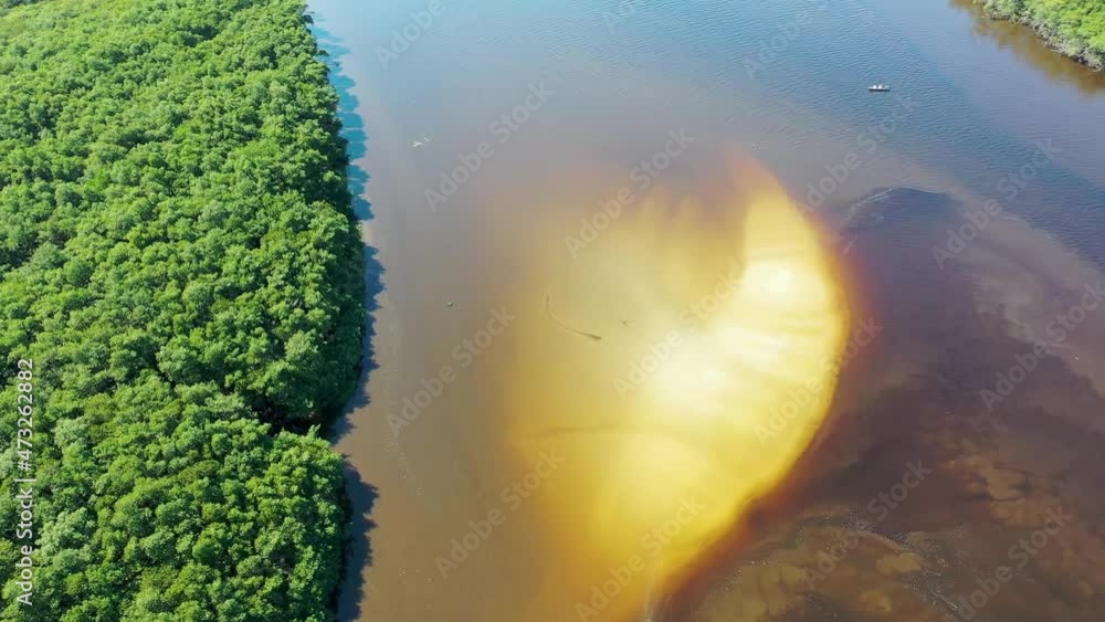 Nature landscape of Amazon Rainforest. Amazon river scenery. Amazonia ...