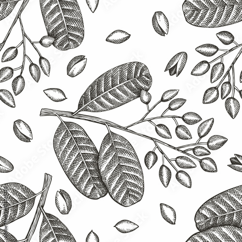 Hand drawn phistachio branch and kernels seamless pattern. Organic food vector illustration on white background. Retro nut illustration. Engraved style botanical background.