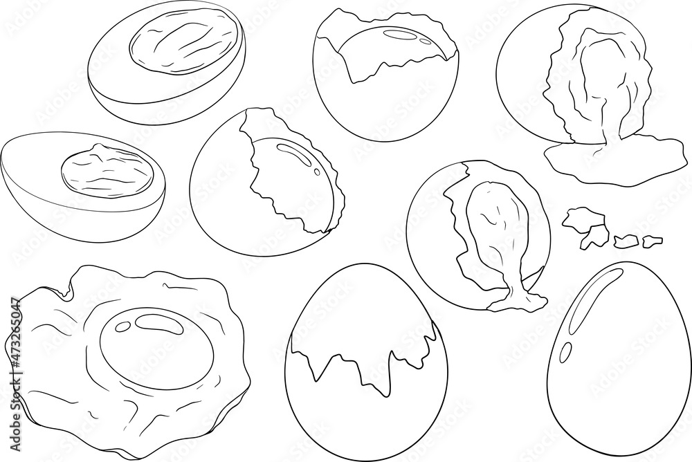 Hand drawn vector eggs. Scrambled, omelet, farm eggs. Drawing ingredients, rustic vector illustration