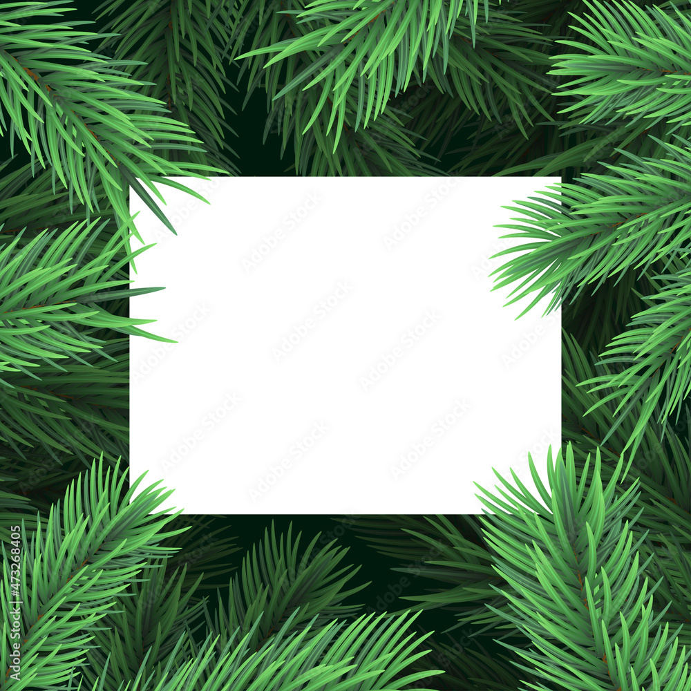 Background with branches of a Christmas tree and a white leaf. Vector illustration