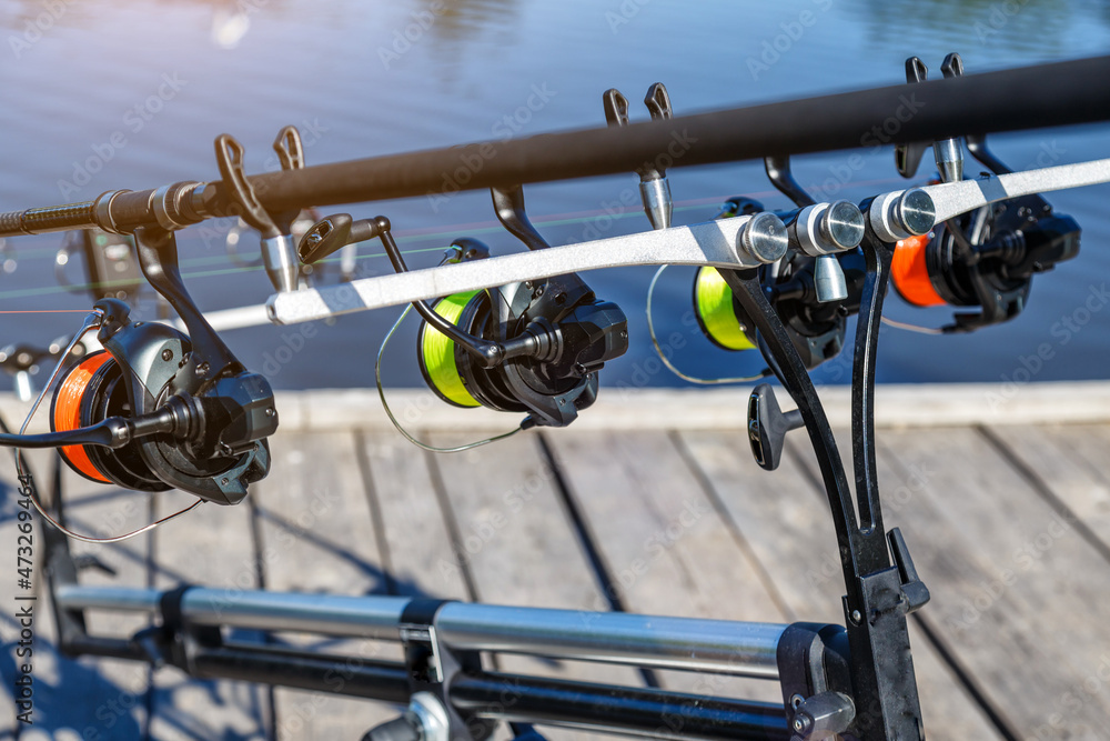Carp fishing rods.Carpfishing session at the Lake.Catching fish. The Common Carp (Cyprinus Carpio). Carp fishing rods.Carpfishing session at the Lake.Catching fish. The Common Carp (Cyprinus Carpio).