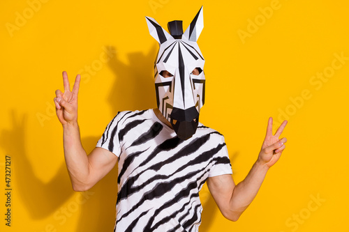 Photo of funny creative guy dressed wild animal costume showing two v-signs isolated yellow color background