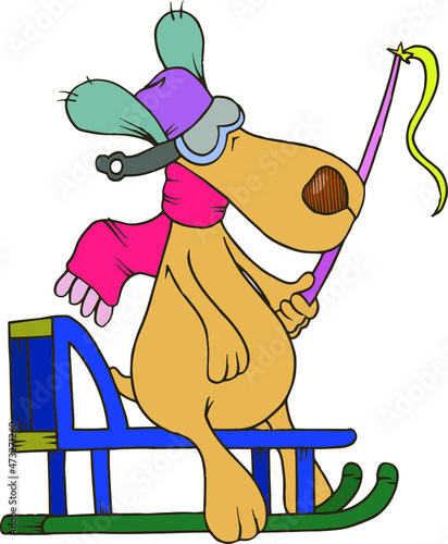 dog with sled