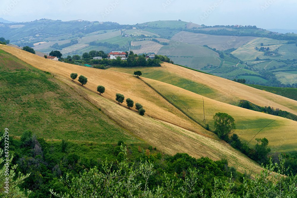 Country landscape near Ripatransone, Marche, Italy