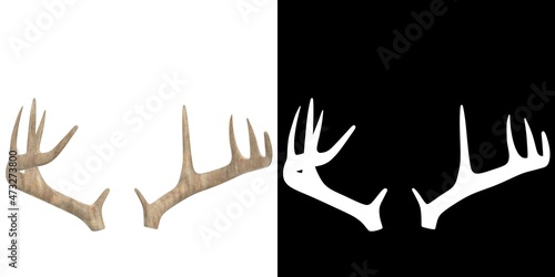3D rendering illustration of antlers