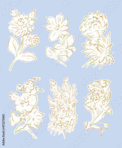 虹色色鉛筆手描き・春夏の花イラストセット 植物 ナチュラル 素朴 自然 線画