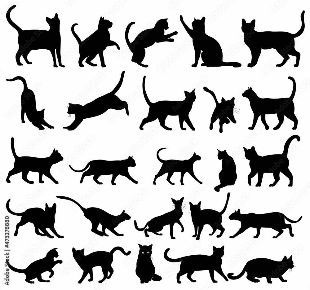 cat set black silhouette, isolated, vector
