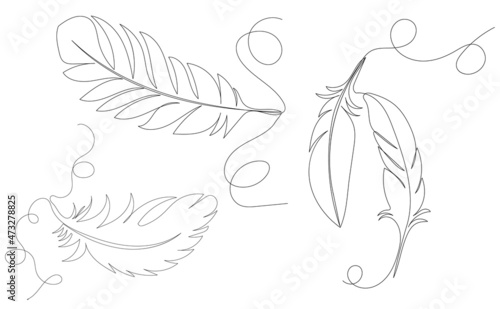feather bird continuous line drawing collection, sketch, vector