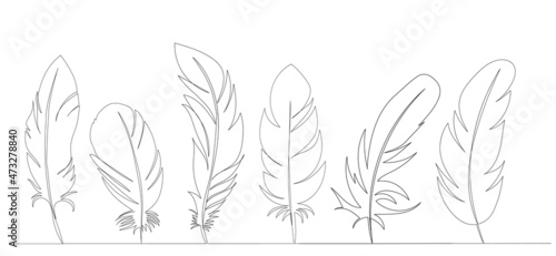 feather bird continuous line drawing collection, sketch