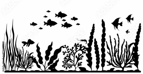 floating fish in seaweed silhouette, isolated, vector