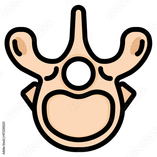 thoracic vertebra line icon