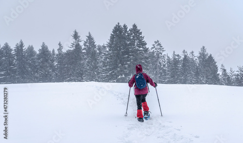 nice senior woman snowshoing in heavy snow fall in a winterly forest and moor landscape in the Bergenzer Wald area of Vorarlberg, Austria