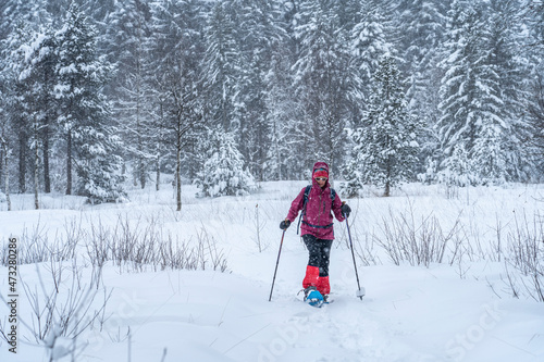 nice senior woman snowshoing in heavy snow fall in a winterly forest and moor landscape in the Bergenzer Wald area of Vorarlberg, Austria