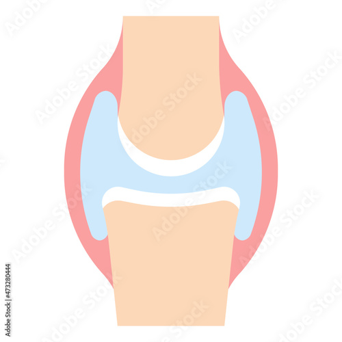joints flat icon