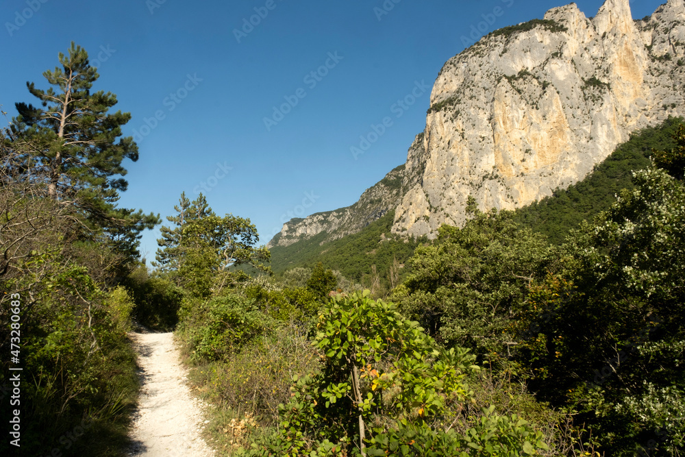 Foret de Saou, France