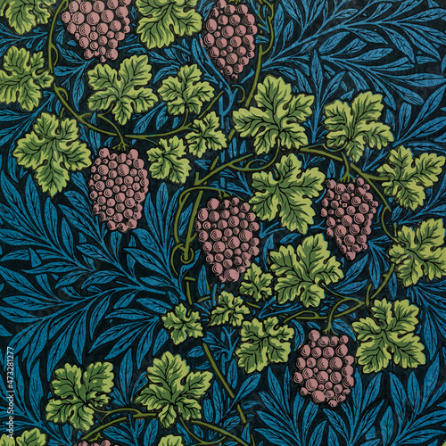 Vintage grapes and vines pattern vector