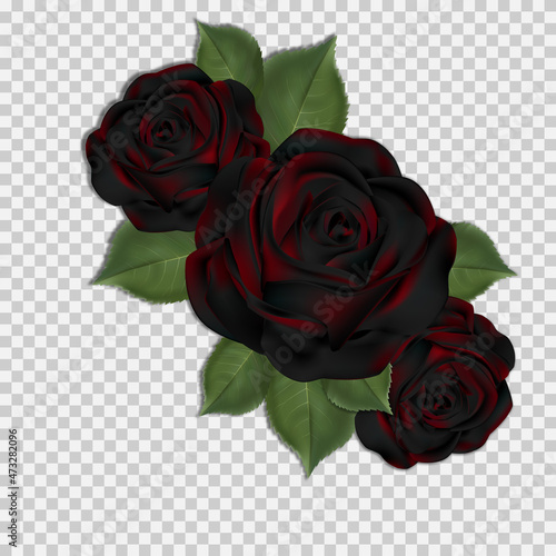 Dark black and red three roses. Vector PNG