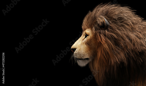 Fototapeta Naklejka Na Ścianę i Meble -  Lion portrait on black