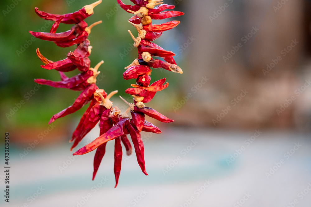 Red hot chili peppers hanging on a rope on the green nature background. Red hot chili peppers hanging on a rope on the green nature background.