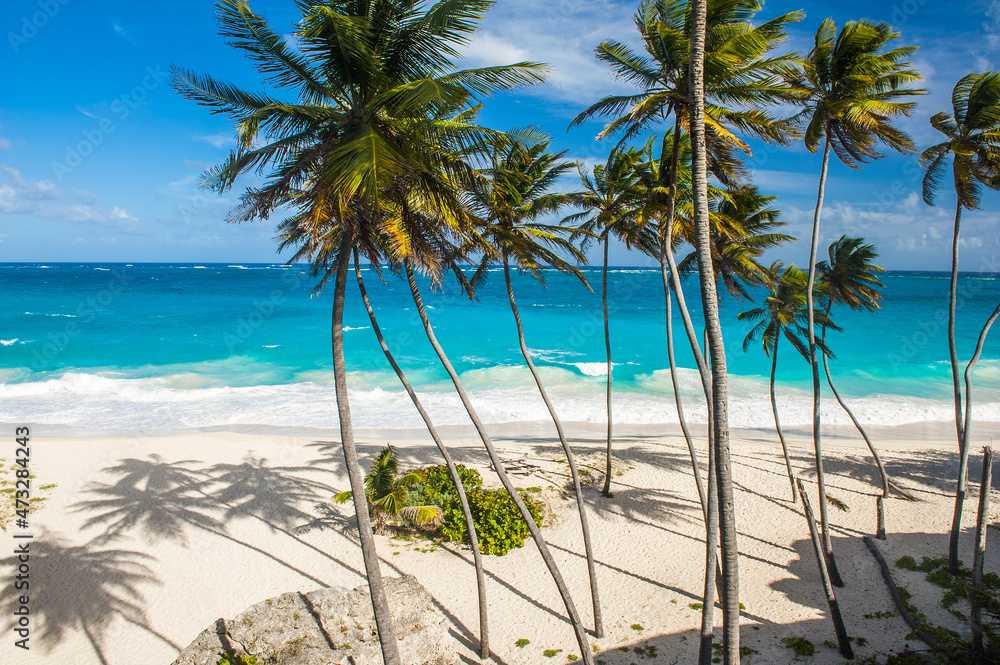 Fototapeta premium Bottom Bay tropical beach in Barbados